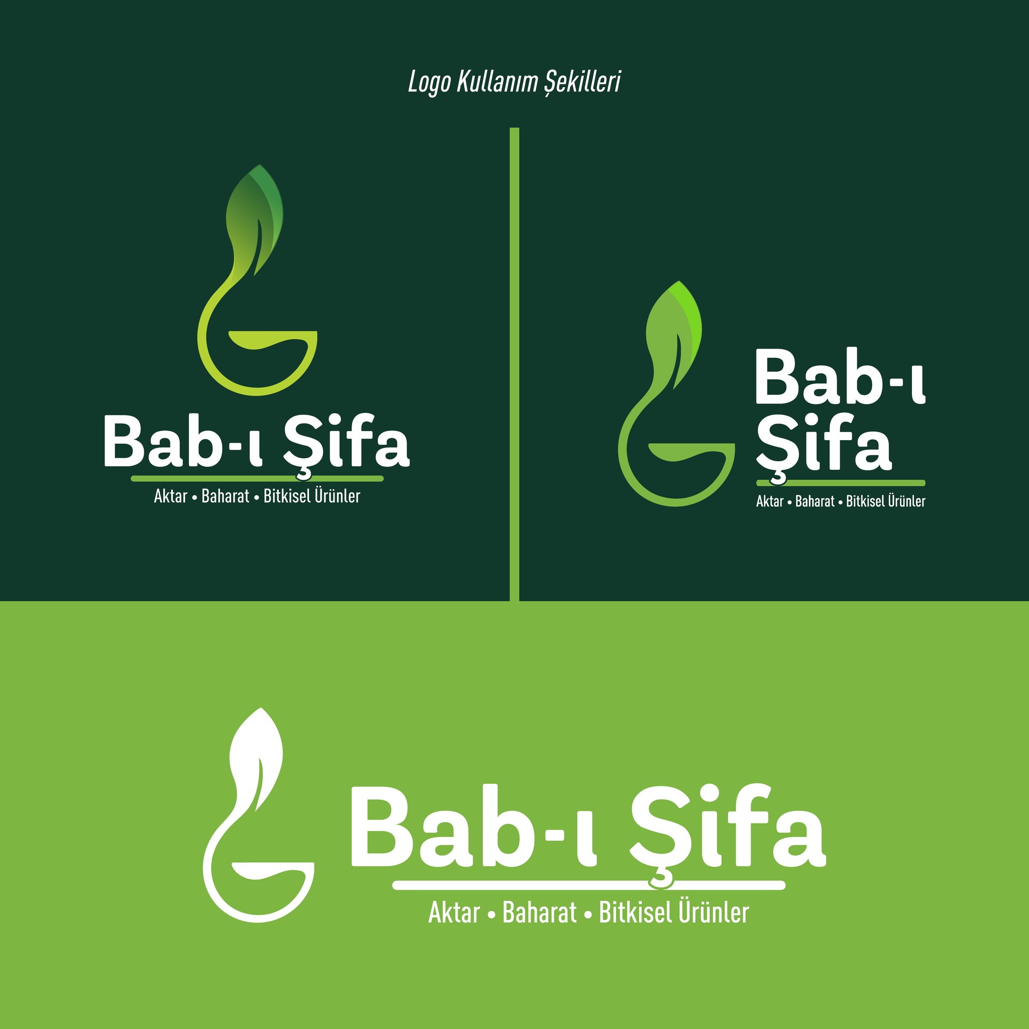 Bab-ı Şifa — Logo tasarımı – 3