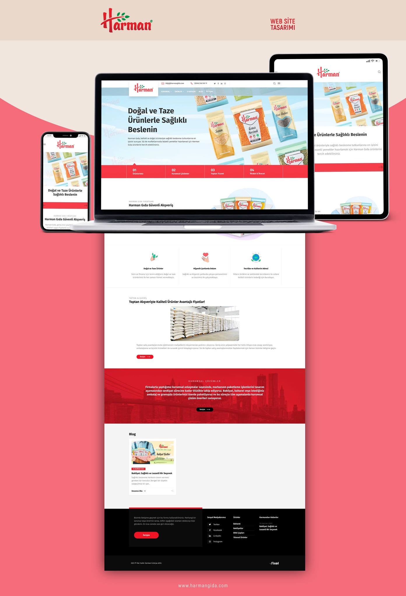 Harman Gıda — Web tasarımı – 1