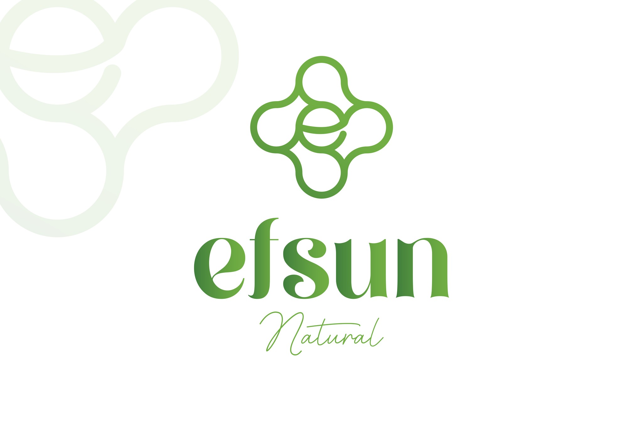 Efsun Natural — Logo tasarımı – 1
